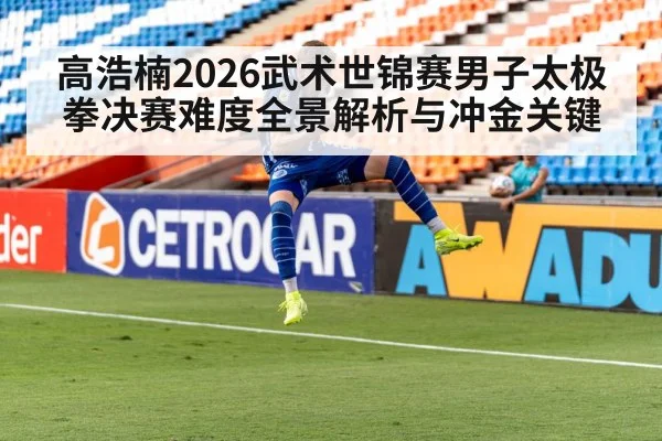 高浩楠2026武术世锦赛男子太极拳决赛难度全景解析与冲金关键