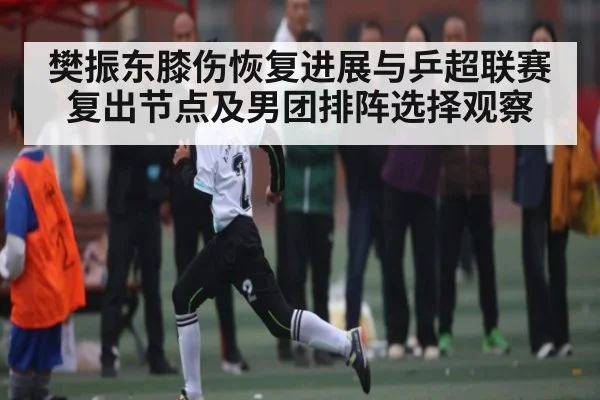 樊振东膝伤恢复进展与乒超联赛复出节点及男团排阵选择观察